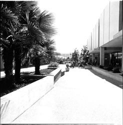 Exterior scenes at Coddingtown Shopping Center, Santa Rosa, California, May 26, 1971