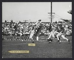 Leghorns beat Eagle Rock Athletic Club 31-13, Petaluma, California, 1950