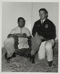 Daniel B. Furlong and his FFA Champion Suffolk lamb at the Sonoma County Fair, Santa Rosa, California, about 1970