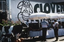 Unidentified people sampling food at Clover Stornetta's Grand Opening,at Clover Stornetta's Open House 91 Lakeville Street, Petaluma, California September 28, 1991