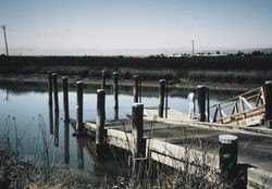 Hudeman Slough boat launch, 28020 Skaggs Island Road, Sonoma, California, January 1970