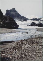 Beach at Stillwater Cove, 1975