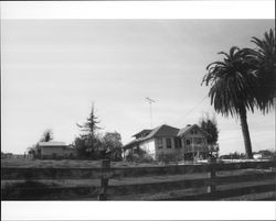 Homes on Petaluma Hill Road, Penngrove, California, 1992