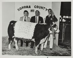 FFA Member with his champion polled Hereford steer at the Sonoma County Fair, Santa Rosa, California, 1971