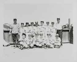 Cards, a Rincon Valley Little League team, Santa Rosa, California, 1962