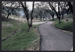 Trail in Spring Lake Park