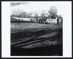 Wagon and team of horses at the Plaza