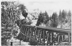 Railroad trestle and train at Camp Meeker