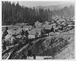 Looking southwest from near the French House in Guerneville