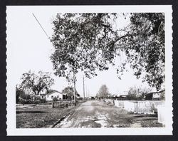 Looking west on Terry Road from Station 9+50