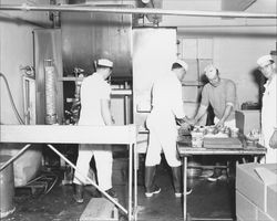 Processing cottage cheese through the packaging machine at the Petaluma Co-Operative Creamery, Petaluma, California, February 16, 1955