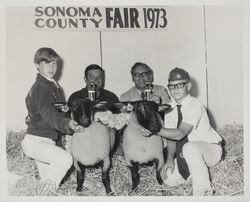 Future Farmers and their prize winning sheep at the Sonoma County Fair, Santa Rosa, California, 1973