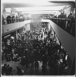 Opening day crowds inside the Santa Rosa Plaza, Santa Rosa, California, March 1982