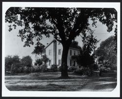 Coulter house