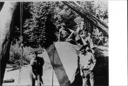 Four men with a redwood log