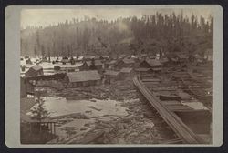 Guerneville in the flood of 1879