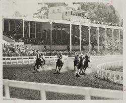 New grandstand at the track with horse race underway at the Sonoma County Fair Racetrack, Santa Rosa, California