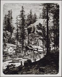 Engraving of redwoods and lumber mill, Duncans Mills, California,1880s