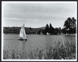 Sailboating on Lake Ralphine, Santa Rosa, California, 1964