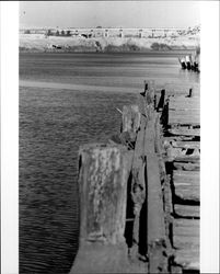 View of McNear Peninsula, Petaluma River, and Highway 101 Bridge looking southeast. Petaluma, California, 1973