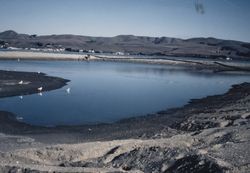 Bodega Bay from west side, 1980