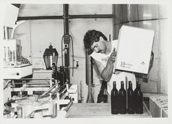 David Seghesio lines up the empties on the bottling line