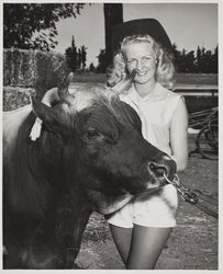 Woman with horned bull at the Sonoma County Fair, Santa Rosa, California