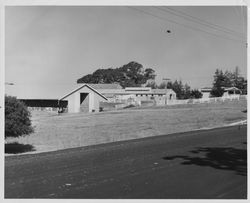 Dairy farm in Sonoma County