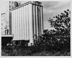 View of the Nulaid Foods Inc. feed mill and railroad box car