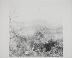 Fitch Mountain, Healdsburg, California, between 1870 and 1879