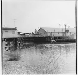 View of the D Street Bridge