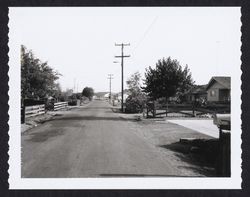 Looking north from 1264 Clover Drive