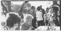 Barbecue at Annadel State Park, Santa Rosa, California, 1971