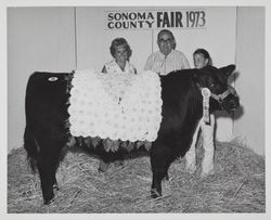 Angie Montini, August Sebastiani and an unidentified girl with a prize winning steer at the 1973 Sonoma County Fair, Santa Rosa, California