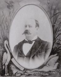 Portrait of Archibald Cook, about 1900