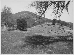 View of the Sun-O-ma Club in Sonoma, California