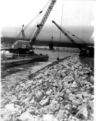 Building a breakwater at Bodega Bay