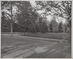 Juilliard Park, Santa Rosa, California, October 22, 1953
