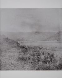 Tomales Bay, California, about 1890