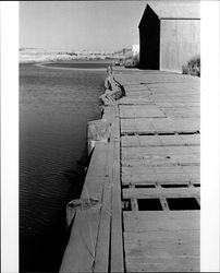 View of McNear Peninsula, Petaluma River, and Highway 101 Bridge looking southeast. Petaluma, California, 1973