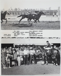 Photo finish and Winner's Circle for the Himmie Jacobs Memorial Purse at the Sonoma County Fair Racetrack, Santa Rosa, California