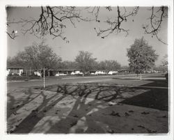 Jacqueline Drive, Santa Rosa, California, 1960