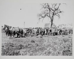 Ground-breaking ceremony for the Burbank Memorial Park at the Santa Rosa Junior College, Santa Rosa, California, about 1924