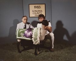 Grand Champion lamb at the Sonoma County Fair, Santa Rosa, California, 1983