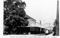 Shipping and loading track, Italian Swiss Colony Winery, Asti, California