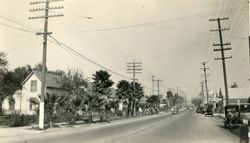 Main Street before the palm trees were removed, Petaluma, California, 1926