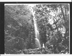 Whitney Falls, Sonoma Mountain, Calif