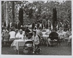 Picnic at the Valley of the Moon Vintage Festival