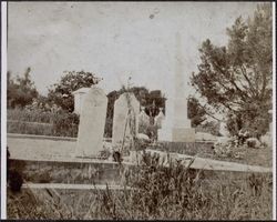 Side view of Colton-Haskins cemetery plot, 430 Magnolia Avenue, Petaluma, California, between 1890 and 1900