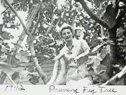 Pruning fig tree, 1942